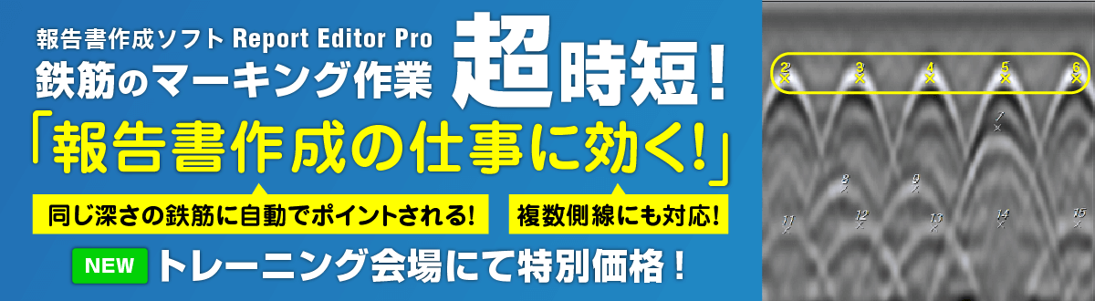 Report Editor Pro 有償オプション