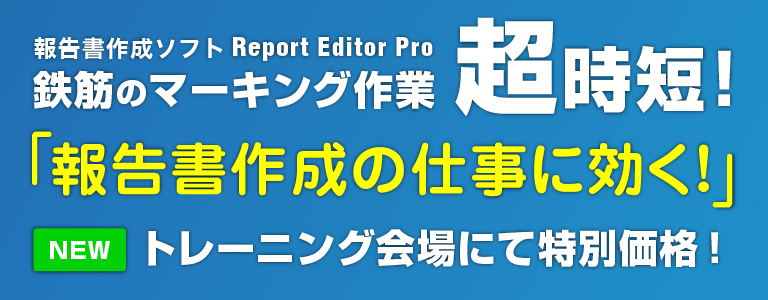 Report Editor Pro 有償オプション