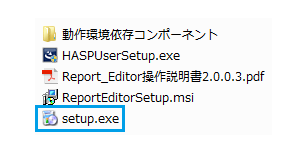 Report Editor setup.exe
