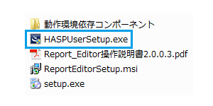 Report Editor HASPUserSetup.exe