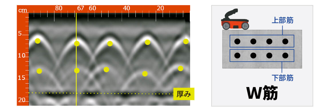 W筋/千鳥筋 探査例