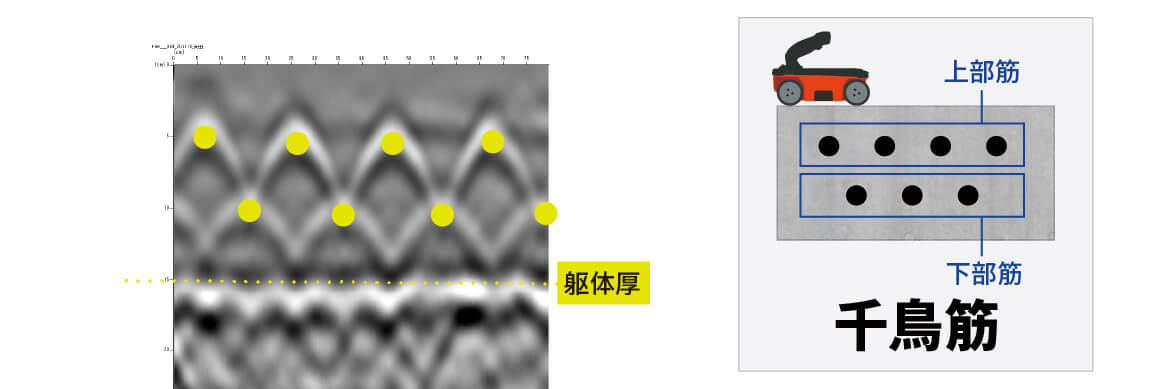 W筋/千鳥筋 探査例